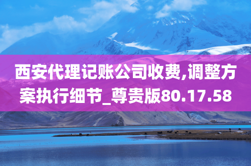 西安代理记账公司收费,调整方案执行细节_尊贵版80.17.58