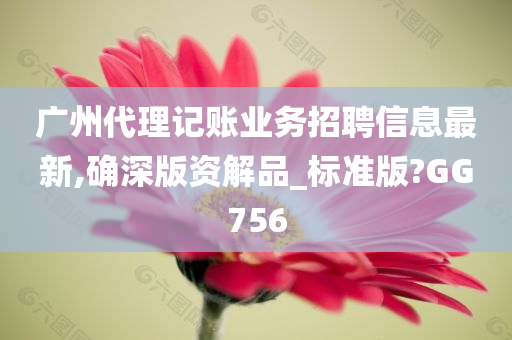 广州代理记账业务招聘信息最新,确深版资解品_标准版?GG756