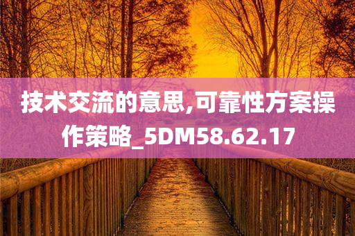 技术交流的意思,可靠性方案操作策略_5DM58.62.17