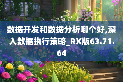 数据开发和数据分析哪个好,深入数据执行策略_RX版63.71.64