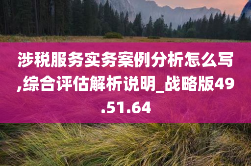 涉税服务实务案例分析怎么写,综合评估解析说明_战略版49.51.64