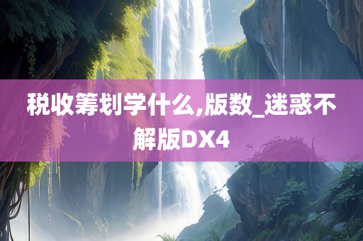 税收筹划学什么,版数_迷惑不解版DX4