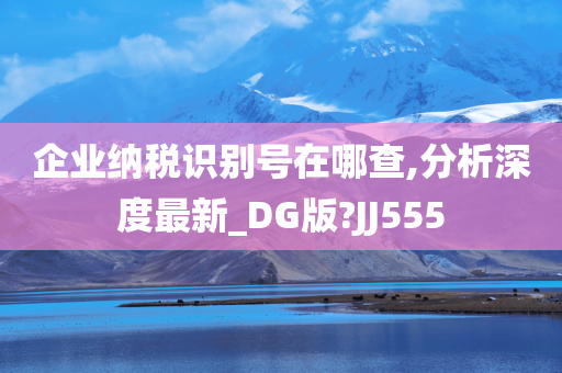 企业纳税识别号在哪查,分析深度最新_DG版?JJ555