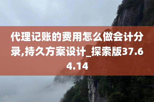 代理记账的费用怎么做会计分录,持久方案设计_探索版37.64.14