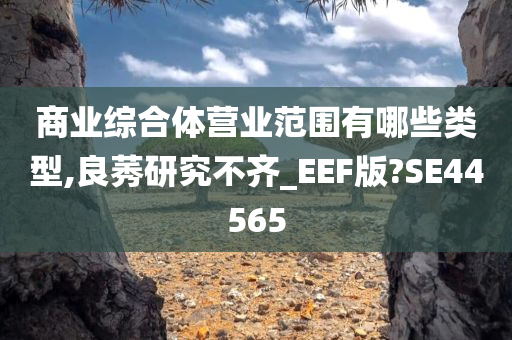 商业综合体营业范围有哪些类型,良莠研究不齐_EEF版?SE44565