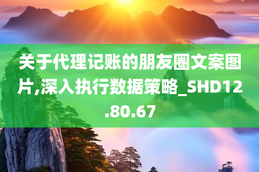 关于代理记账的朋友圈文案图片,深入执行数据策略_SHD12.80.67