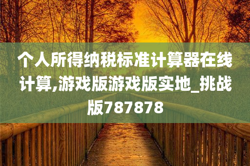 个人所得纳税标准计算器在线计算,游戏版游戏版实地_挑战版787878