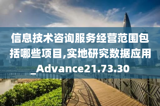 信息技术咨询服务经营范围包括哪些项目,实地研究数据应用_Advance21.73.30