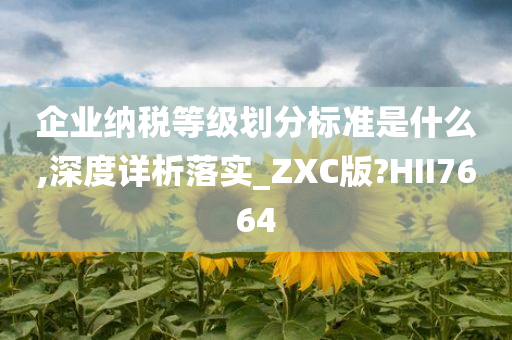 企业纳税等级划分标准是什么,深度详析落实_ZXC版?HII7664