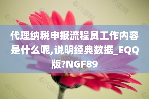 代理纳税申报流程员工作内容是什么呢,说明经典数据_EQQ版?NGF89