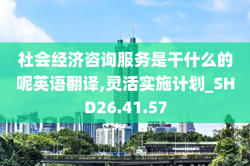 社会经济咨询服务是干什么的呢英语翻译,灵活实施计划_SHD26.41.57