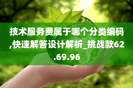 技术服务费属于哪个分类编码,快速解答设计解析_挑战款62.69.96