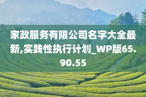 家政服务有限公司名字大全最新,实践性执行计划_WP版65.90.55