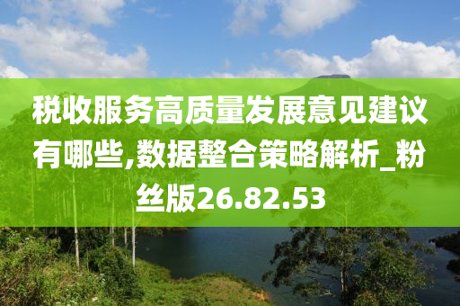 税收服务高质量发展意见建议有哪些,数据整合策略解析_粉丝版26.82.53