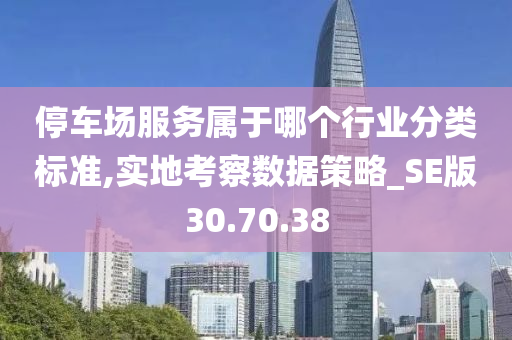 停车场服务属于哪个行业分类标准,实地考察数据策略_SE版30.70.38