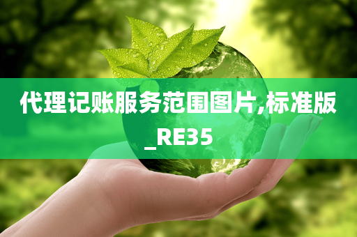 代理记账服务范围图片,标准版_RE35