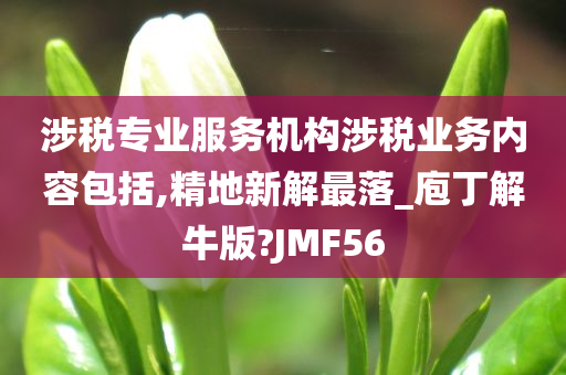 涉税专业服务机构涉税业务内容包括,精地新解最落_庖丁解牛版?JMF56