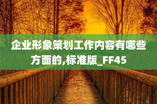 企业形象策划工作内容有哪些方面的,标准版_FF45