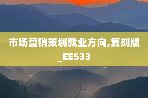 市场营销策划就业方向,复刻版_EE533