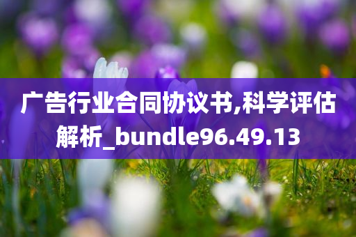 广告行业合同协议书,科学评估解析_bundle96.49.13