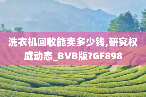 洗衣机回收能卖多少钱,研究权威动态_BVB版?GF898