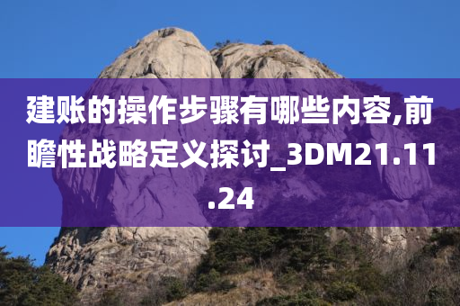 建账的操作步骤有哪些内容,前瞻性战略定义探讨_3DM21.11.24