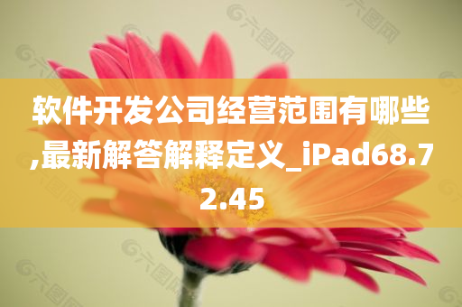 软件开发公司经营范围有哪些,最新解答解释定义_iPad68.72.45