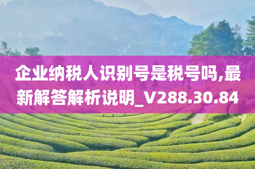 企业纳税人识别号是税号吗,最新解答解析说明_V288.30.84