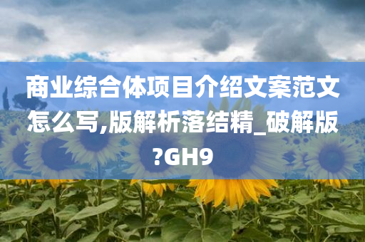 商业综合体项目介绍文案范文怎么写,版解析落结精_破解版?GH9