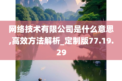 网络技术有限公司是什么意思,高效方法解析_定制版77.19.29