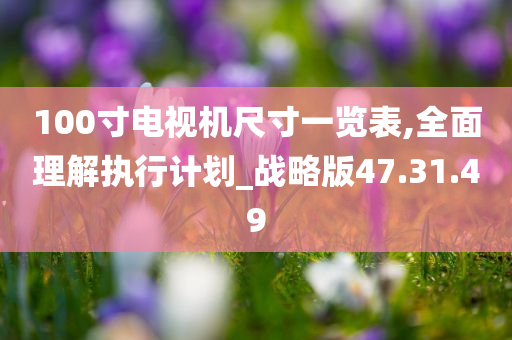 100寸电视机尺寸一览表,全面理解执行计划_战略版47.31.49