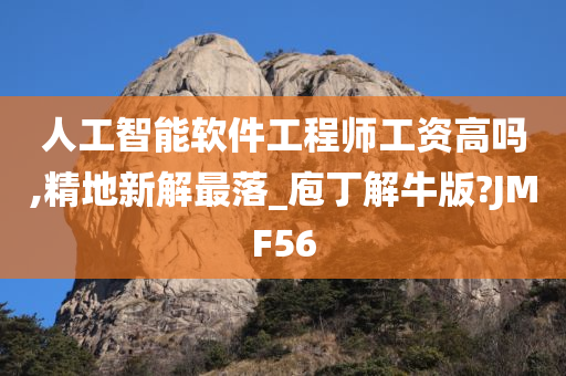 人工智能软件工程师工资高吗,精地新解最落_庖丁解牛版?JMF56