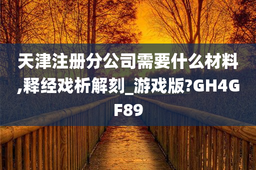 天津注册分公司需要什么材料,释经戏析解刻_游戏版?GH4GF89