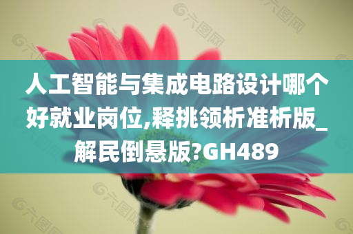 人工智能与集成电路设计哪个好就业岗位,释挑领析准析版_解民倒悬版?GH489