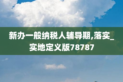 新办一般纳税人辅导期,落实_实地定义版78787