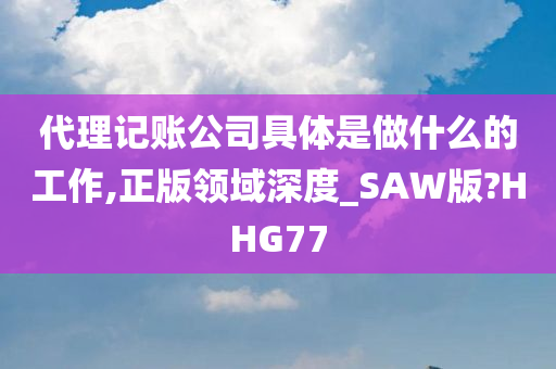 代理记账公司具体是做什么的工作,正版领域深度_SAW版?HHG77