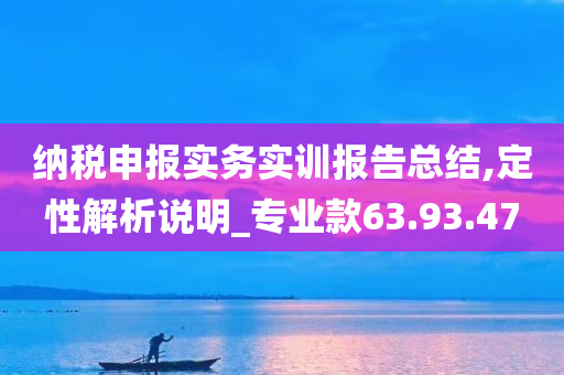 纳税申报实务实训报告总结,定性解析说明_专业款63.93.47