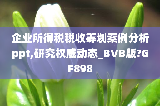 企业所得税税收筹划案例分析ppt,研究权威动态_BVB版?GF898