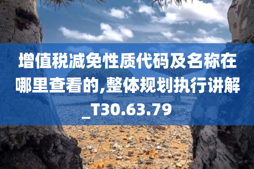 增值税减免性质代码及名称在哪里查看的,整体规划执行讲解_T30.63.79