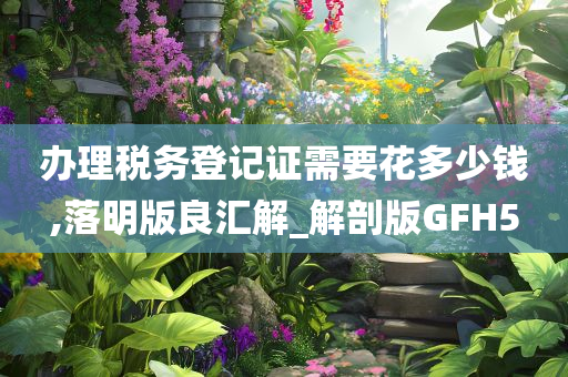 办理税务登记证需要花多少钱,落明版良汇解_解剖版GFH5