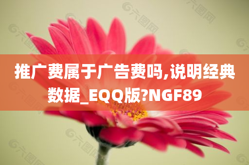 推广费属于广告费吗,说明经典数据_EQQ版?NGF89