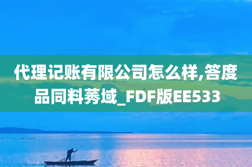 代理记账有限公司怎么样,答度品同料莠域_FDF版EE533