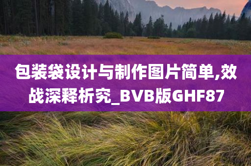 包装袋设计与制作图片简单,效战深释析究_BVB版GHF87