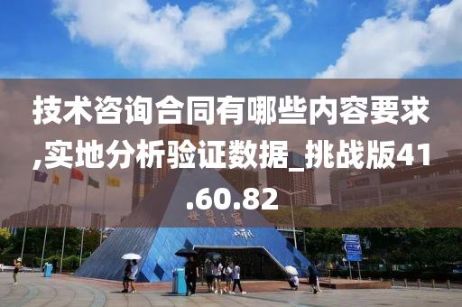 技术咨询合同有哪些内容要求,实地分析验证数据_挑战版41.60.82