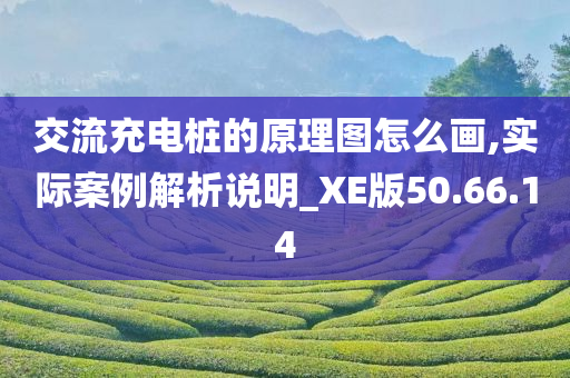 交流充电桩的原理图怎么画,实际案例解析说明_XE版50.66.14