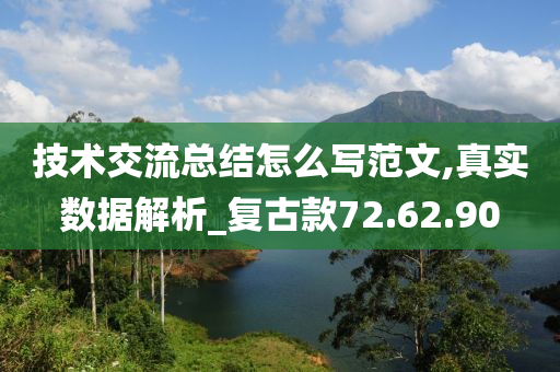 技术交流总结怎么写范文,真实数据解析_复古款72.62.90