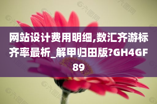 网站设计费用明细,数汇齐游标齐率最析_解甲归田版?GH4GF89