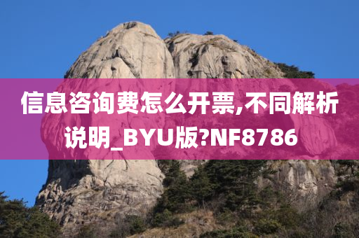 信息咨询费怎么开票,不同解析说明_BYU版?NF8786