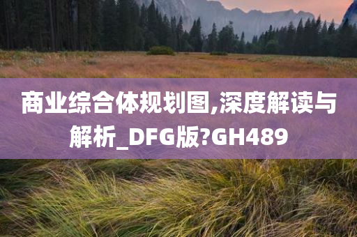 商业综合体规划图,深度解读与解析_DFG版?GH489