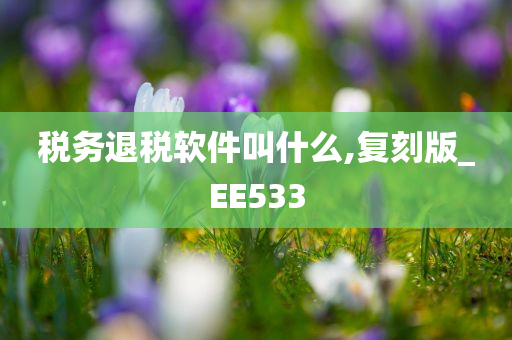 税务退税软件叫什么,复刻版_EE533